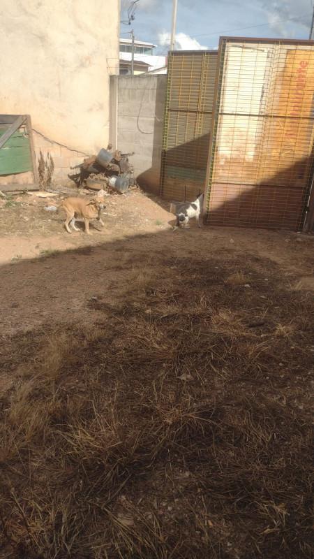 Lote, Diamante, 0 Quarto, 0 Vaga
