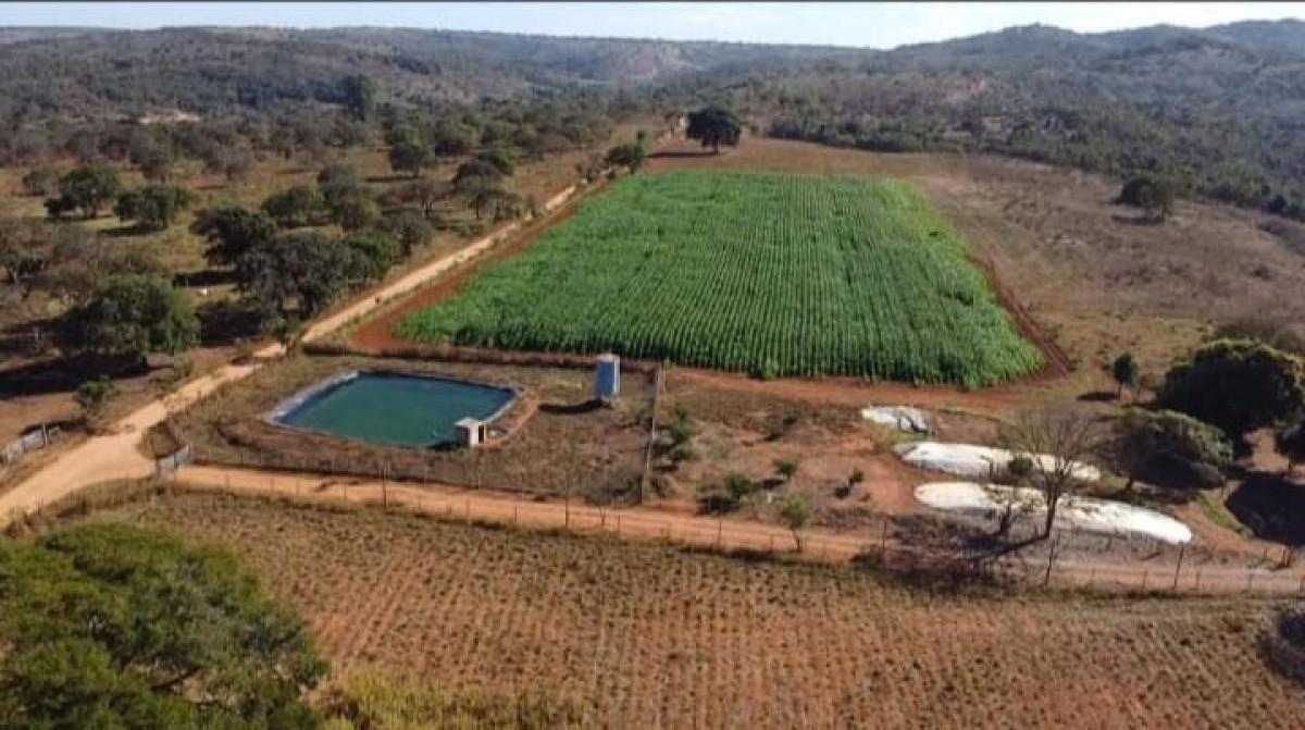 Fazenda, Centro, 3 Quartos, 0 Vaga