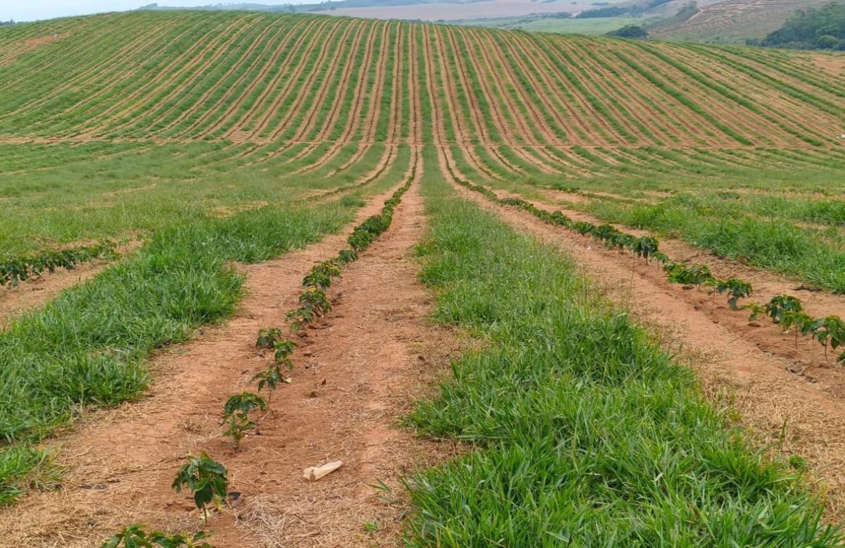 Fazenda, Zona Rural, 0 Quarto, 0 Vaga