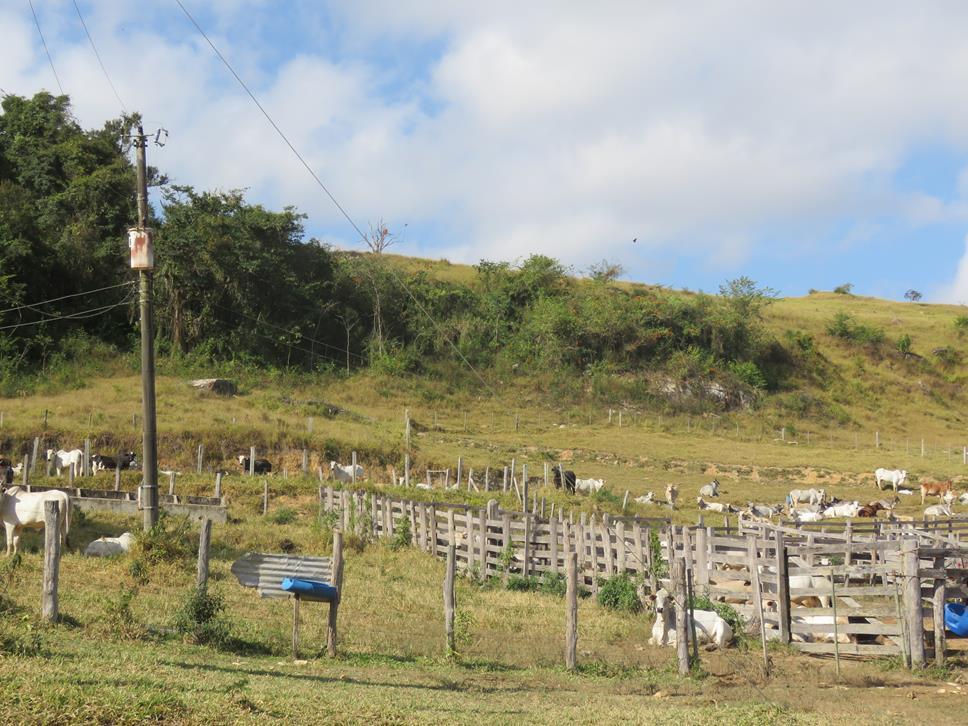 Fazenda, Zona Rural, 3 Quartos, 1 Vaga, 1 Suíte