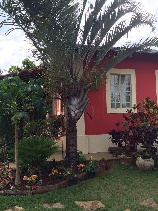 Fazenda, Centro, 2 Quartos, 10 Vagas, 1 Suíte