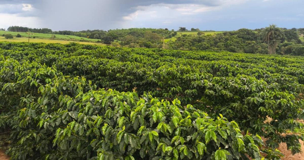 Fazenda, Zona Rural, 0 Quarto, 0 Vaga