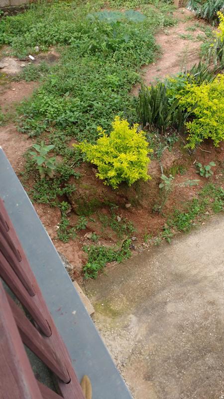 Casa, Marimbá, 3 Quartos, 2 Vagas, 1 Suíte