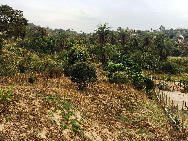 Lote, Condomínio Solar das Palmeiras, 0 Quarto, 0 Vaga