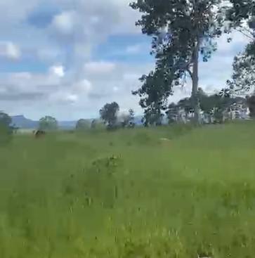 Fazenda, Zona Rural, 0 Quarto, 0 Vaga