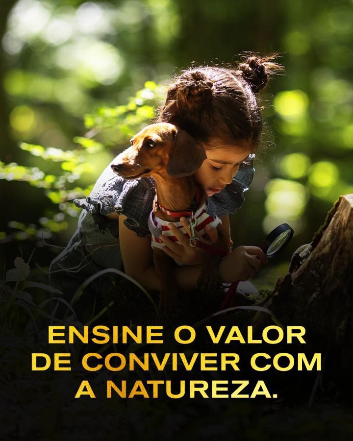 Lote, Lagoa Mansões, 0 Quarto, 0 Vaga