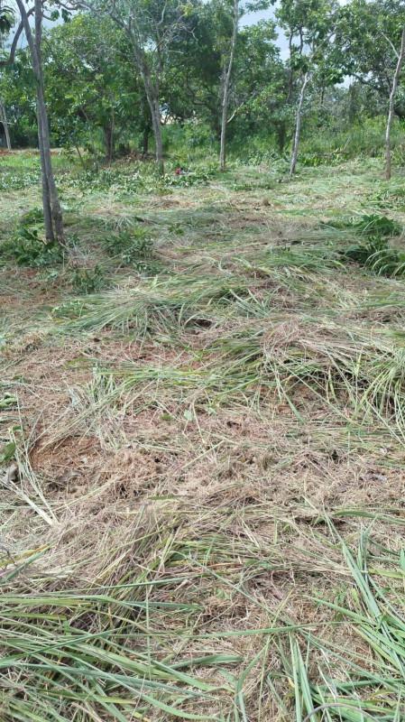 Lote, Zona Rural, 0 Quarto, 0 Vaga