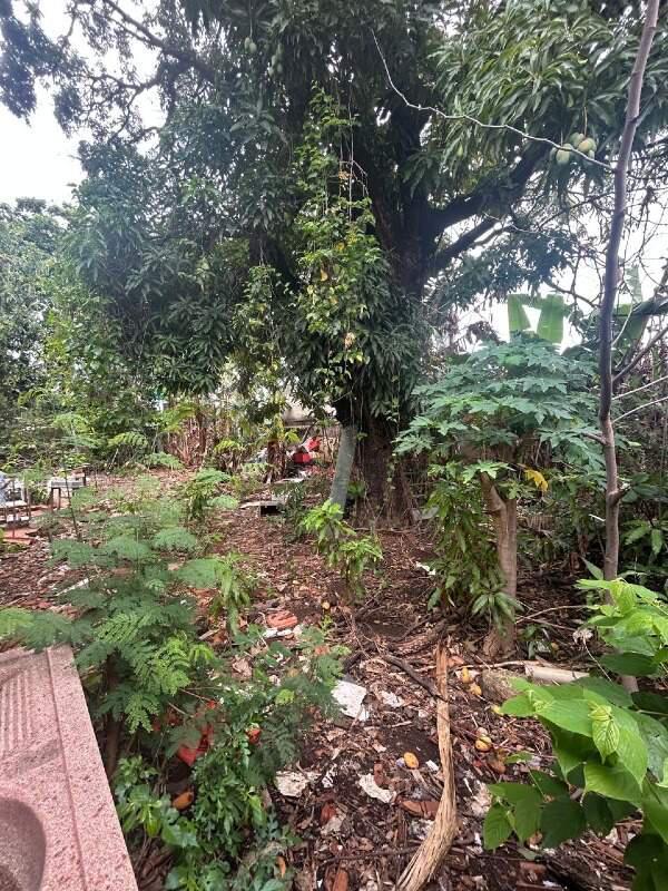 Lote, Santa Branca, 0 Quarto, 0 Vaga