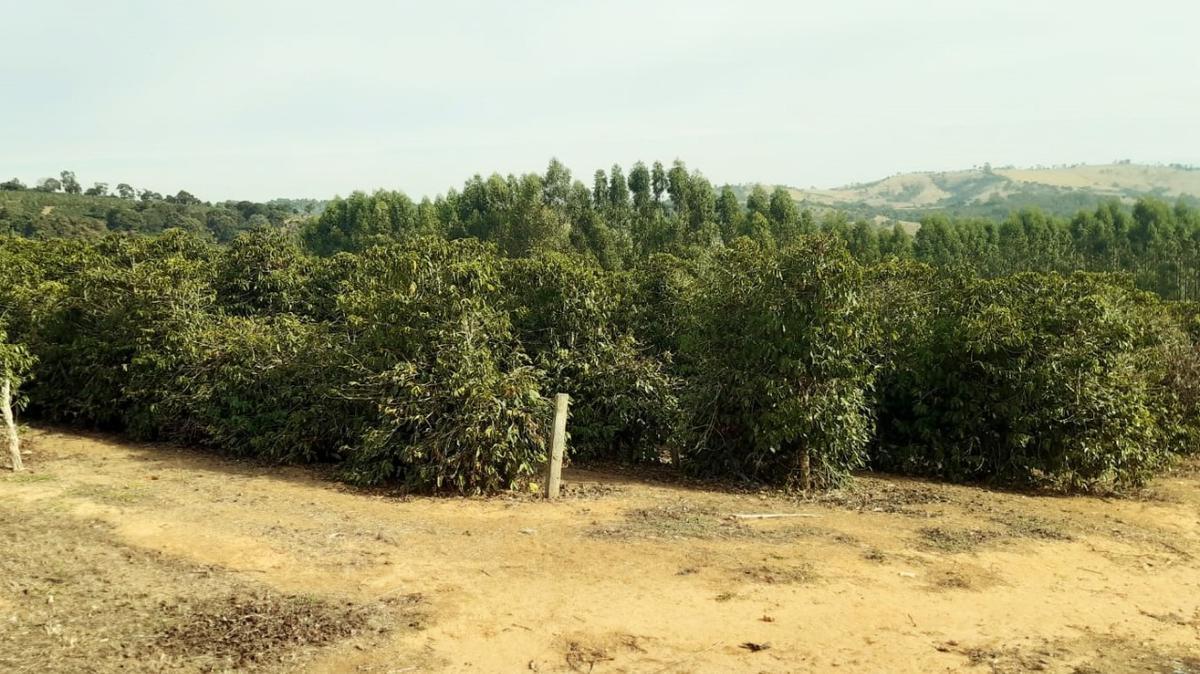 Fazenda, Centro, 1 Quarto, 1 Vaga, 1 Suíte