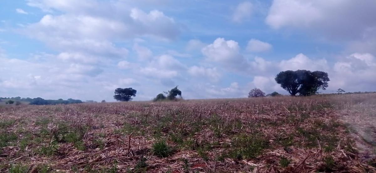 Fazenda, Zona Rural, 3 Quartos, 4 Vagas, 1 Suíte