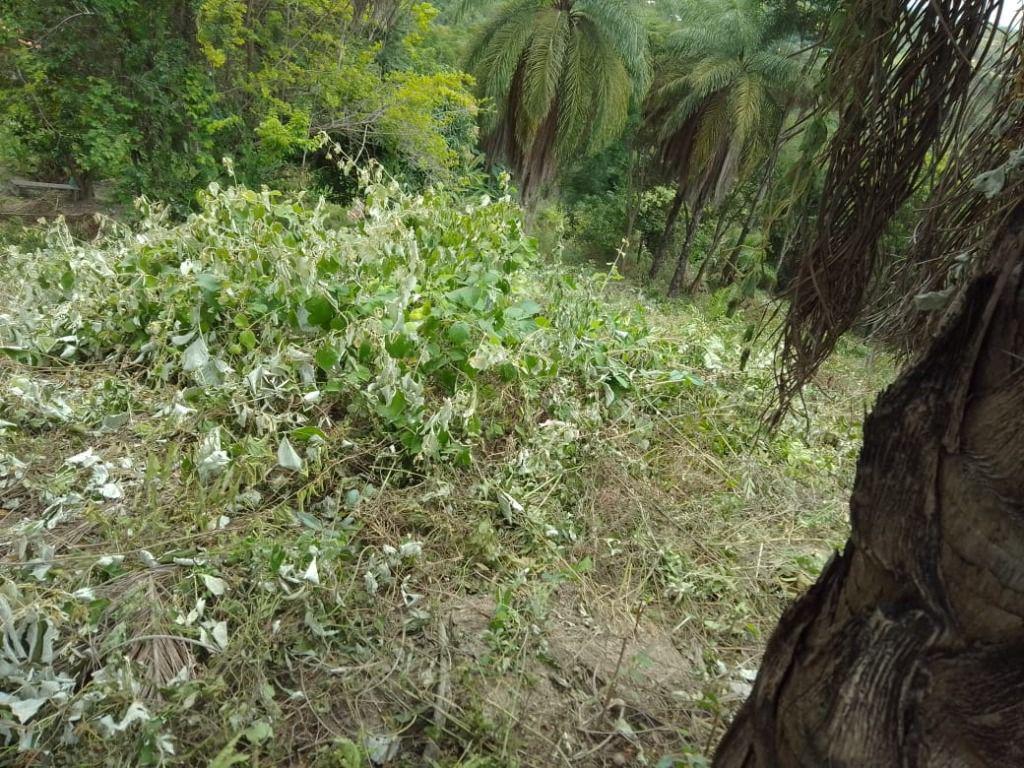 Lote, Ravena, 0 Quarto, 0 Vaga