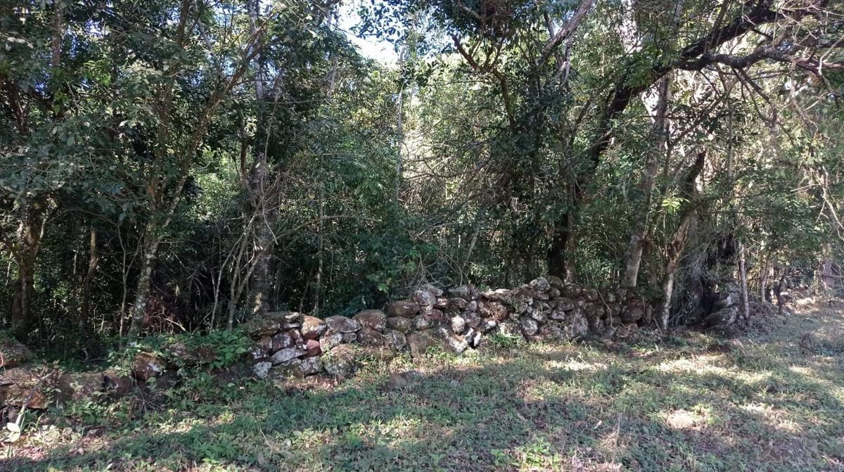 Fazenda, Zona Rural, 0 Quarto, 0 Vaga