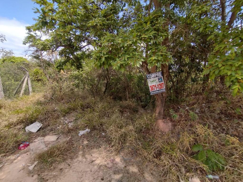 Lote, Pedra Branca, 0 Quarto, 0 Vaga