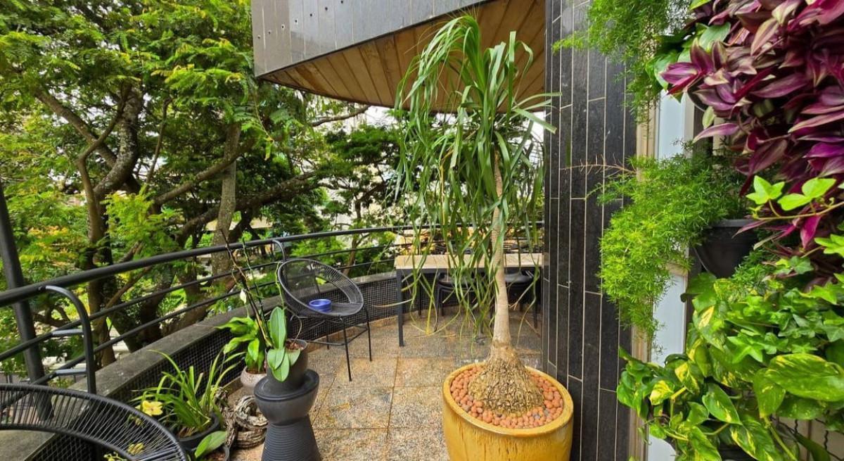 Apartamento, Serra, 4 Quartos, 3 Vagas, 1 Suíte