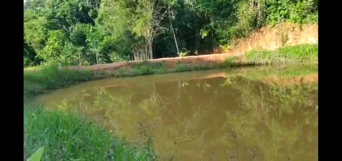Fazenda, Bicuíba, 4 Quartos, 10 Vagas, 2 Suítes