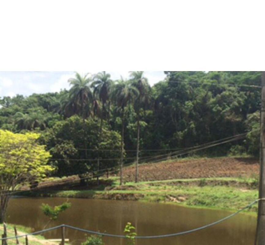 Lote, Bandeirinhas, 0 Quarto, 10 Vagas