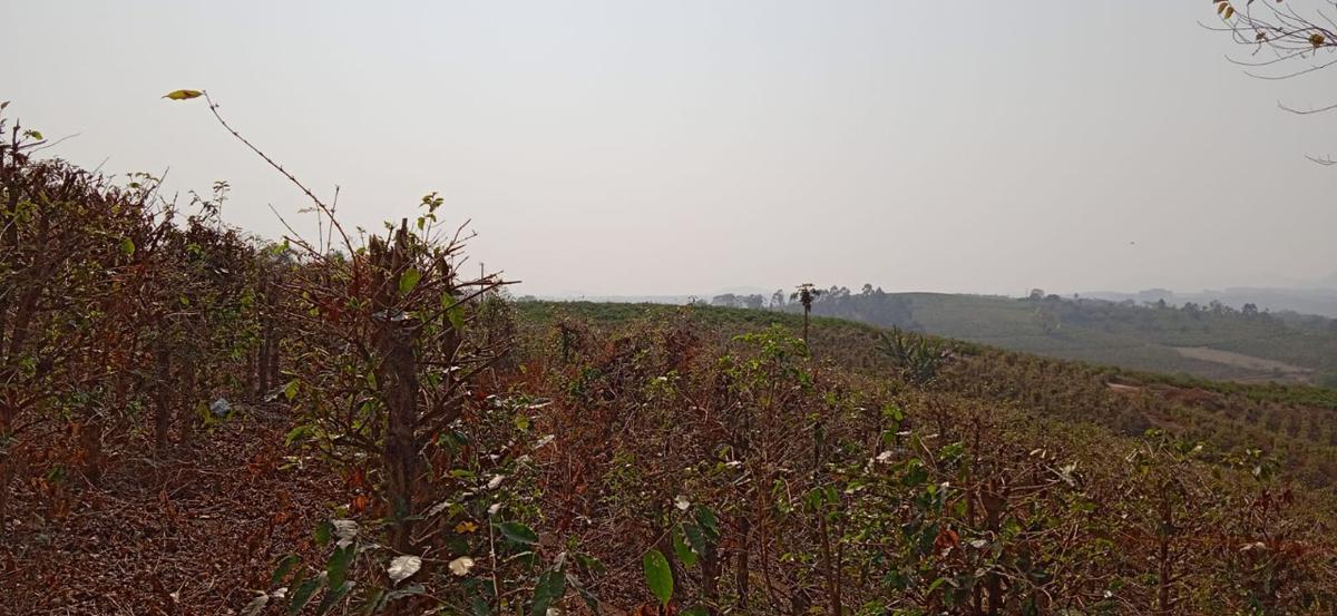Fazenda, Zona Rural, 0 Quarto, 0 Vaga