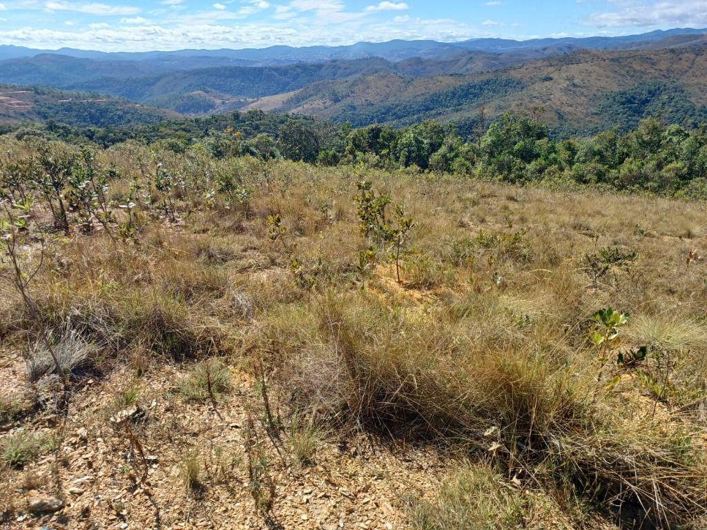 Lote, Morro Vermelho, 0 Quarto, 0 Vaga