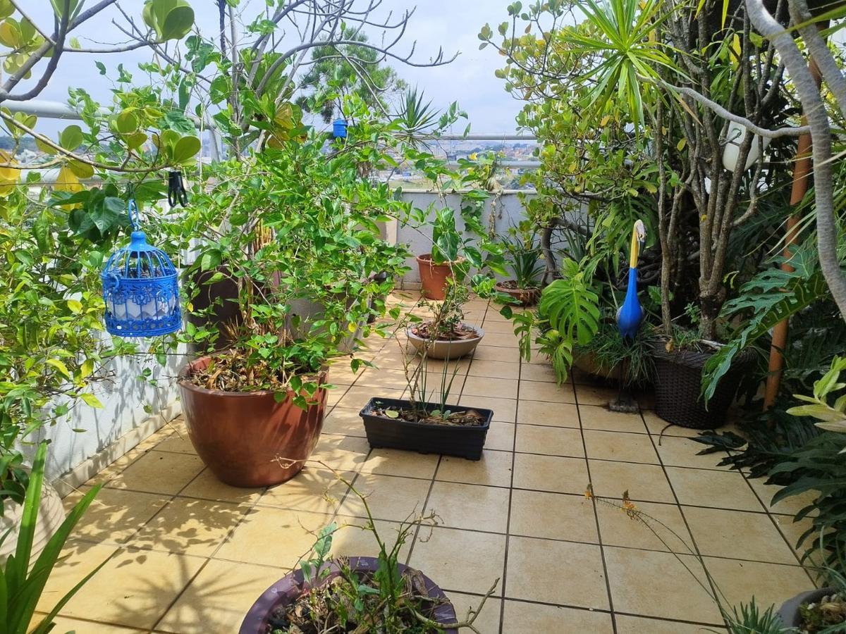 Cobertura, Vila Clóris, 3 Quartos, 2 Vagas, 1 Suíte