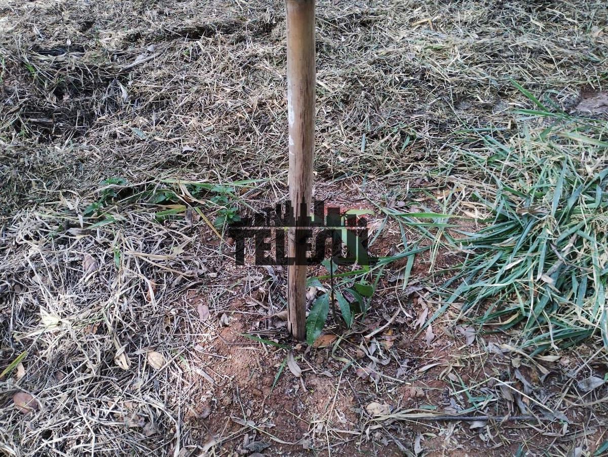 Fazenda, Parque Mariela, 0 Quarto, 0 Vaga