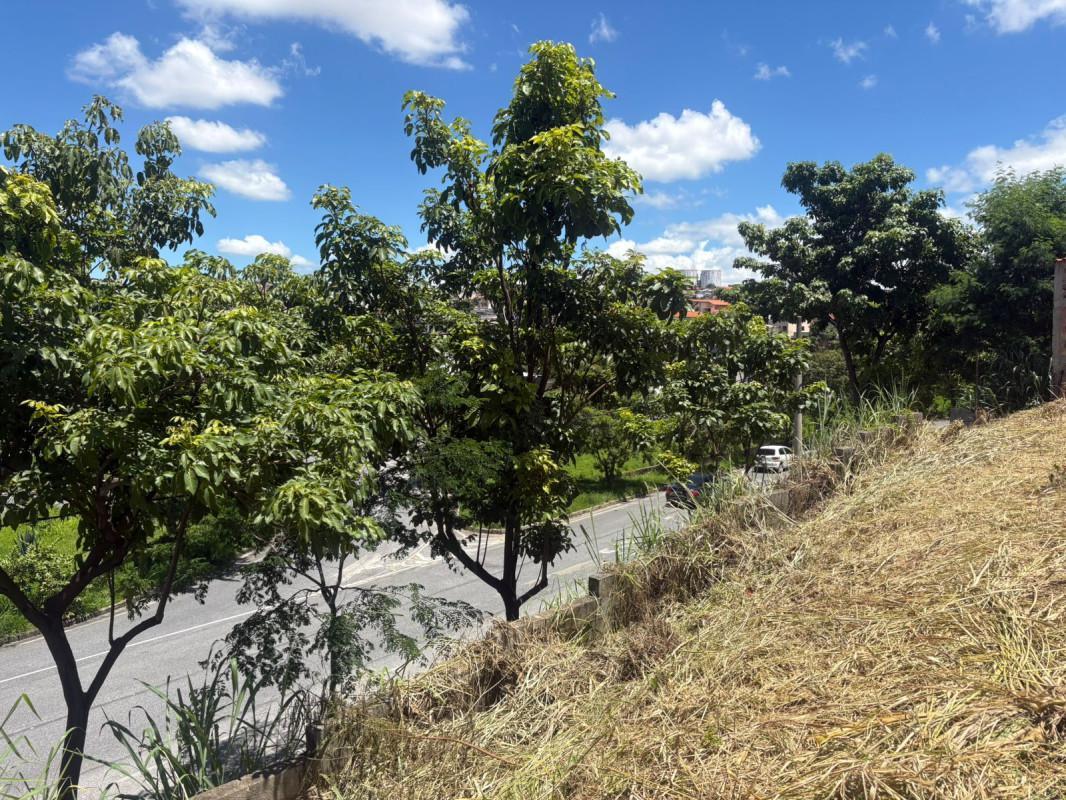 Lote, Santa Mônica, 0 Quarto, 0 Vaga
