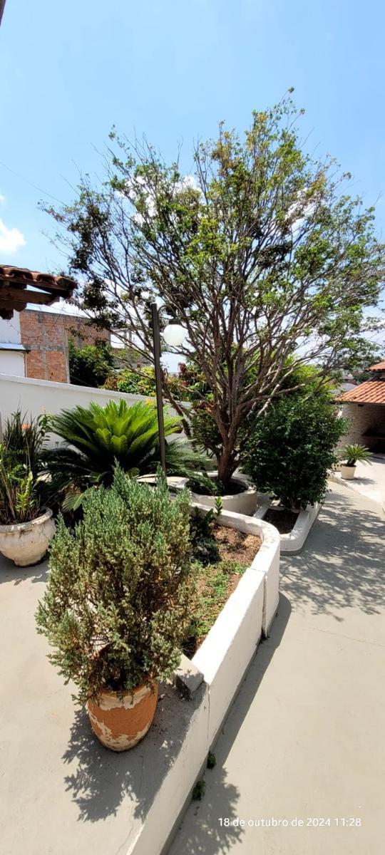 Casa, Santa Mônica, 5 Quartos, 1 Vaga, 1 Suíte