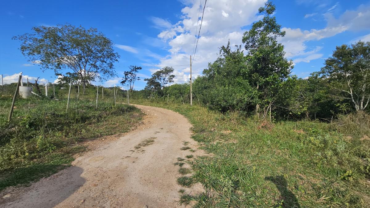 Lote, Ravena, 0 Quarto, 0 Vaga