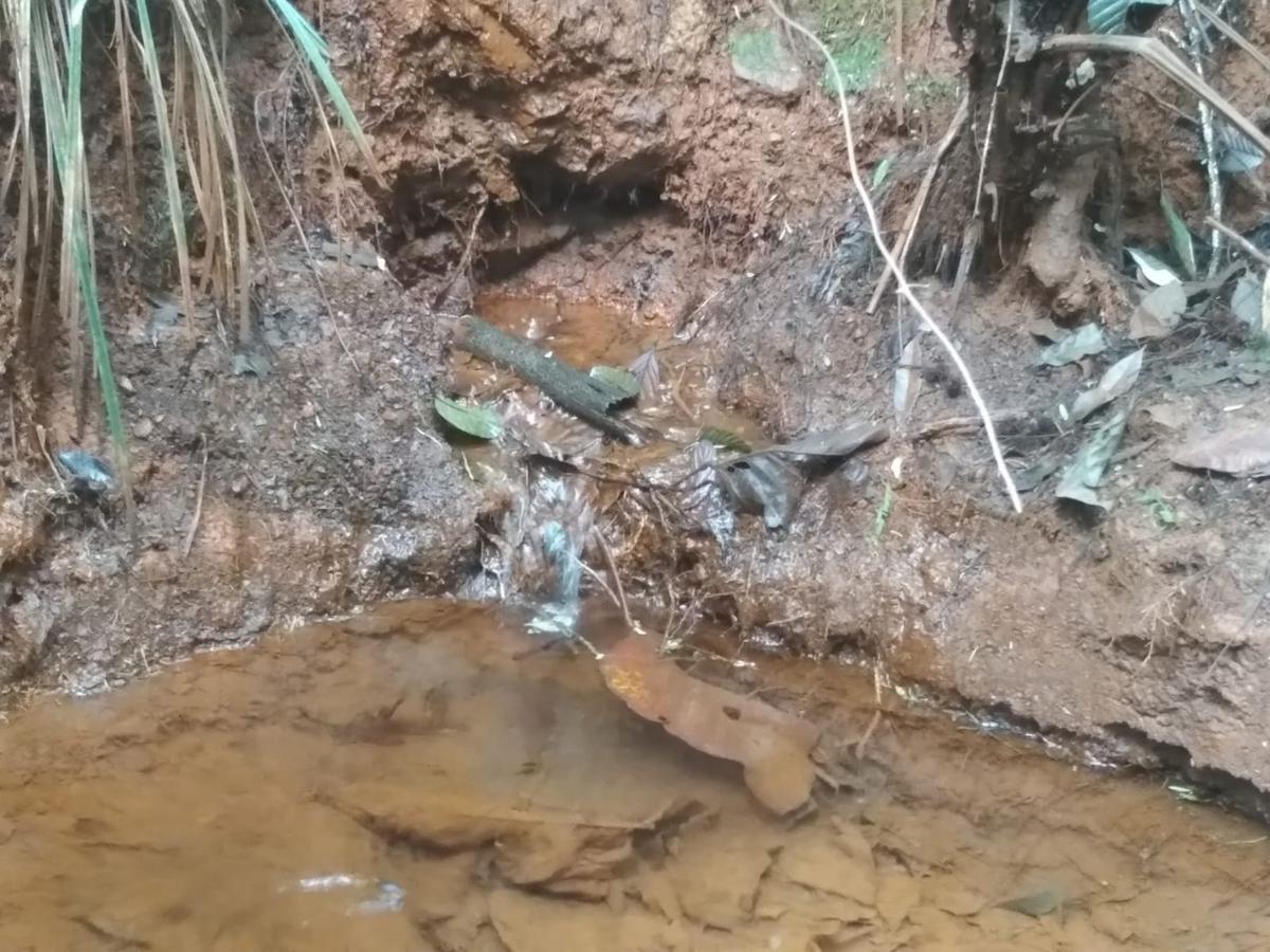 Fazenda, Zona Rural, 3 Quartos, 5 Vagas