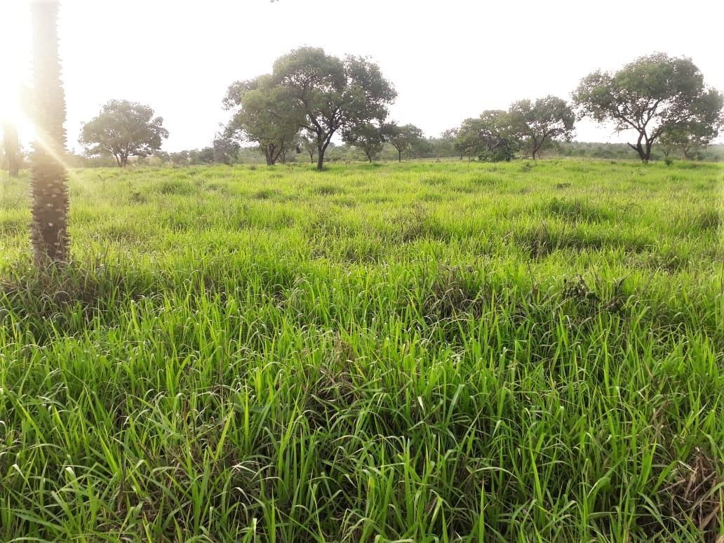 Fazenda, Centro, 4 Quartos, 2 Vagas