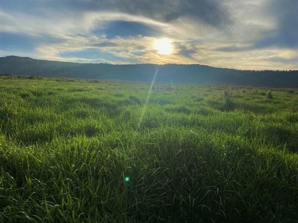 Fazenda, Zona Rural, 3 Quartos, 1 Vaga, 1 Suíte