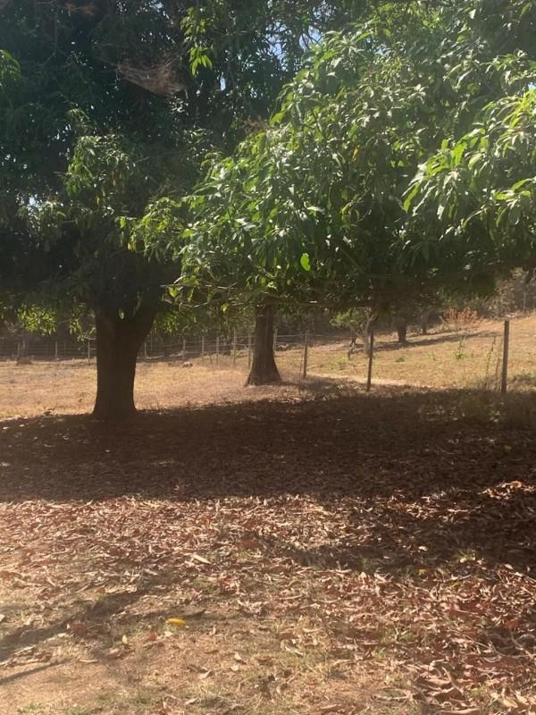 Fazenda, Centro, 0 Quarto, 0 Vaga