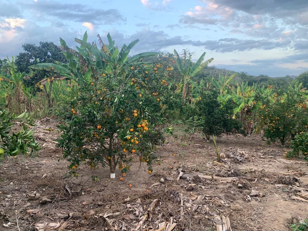 Fazenda, Área Rural de Pará de Minas, 3 Quartos, 0 Vaga, 1 Suíte