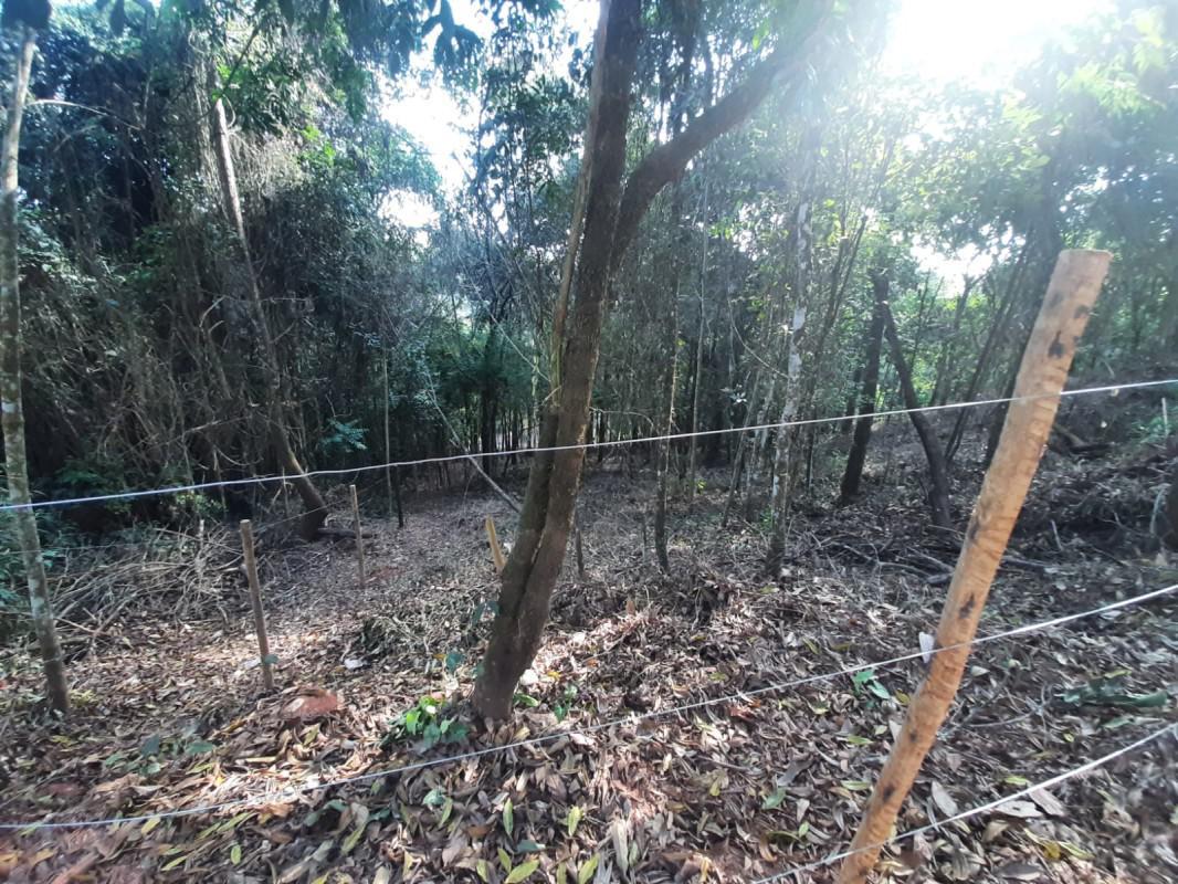 Lote, Green Park, 0 Quarto, 0 Vaga