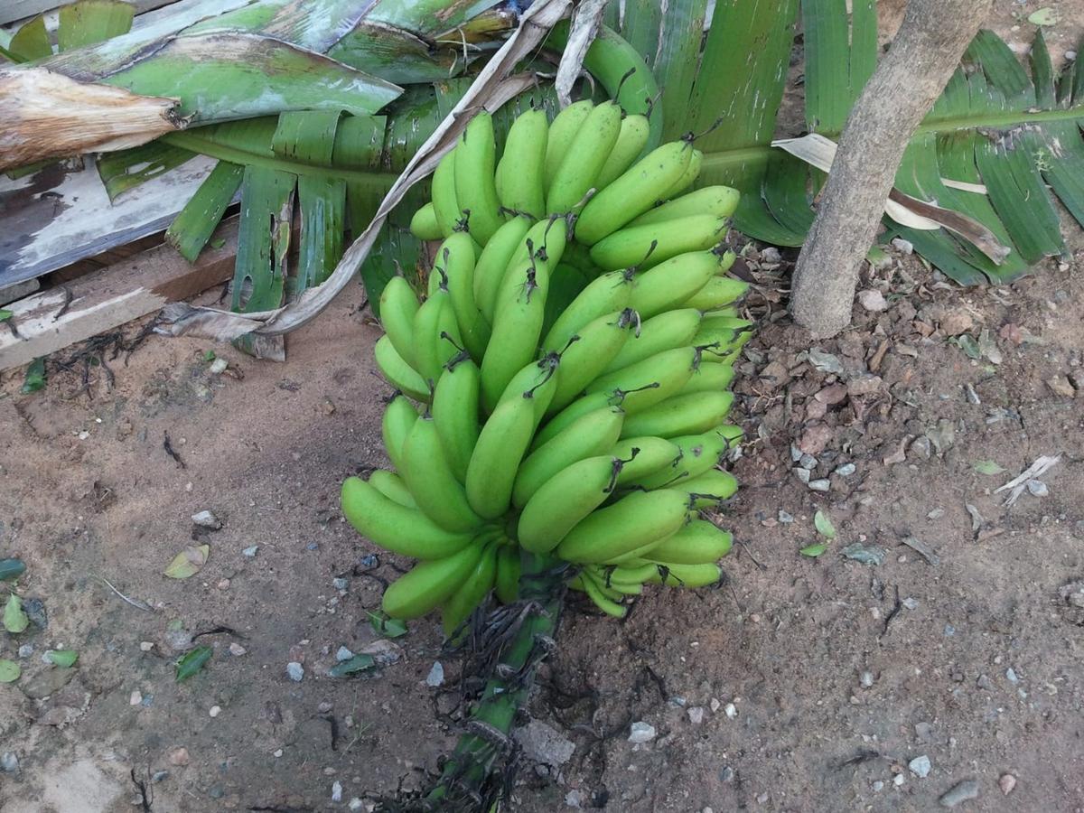 Casa, Jardim Vitória, 3 Quartos, 2 Vagas, 1 Suíte