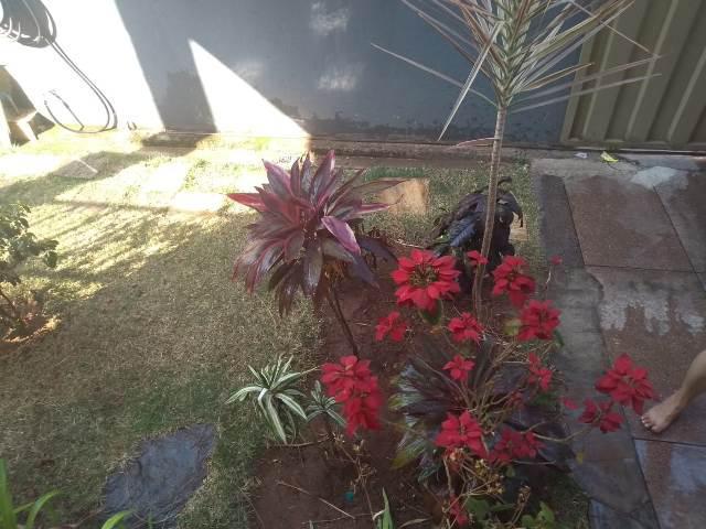 Casa, Oitis, 4 Quartos, 2 Vagas, 1 Suíte