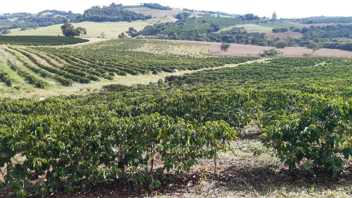 Fazenda, Centro, 3 Quartos, 1 Vaga