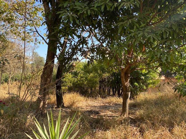 Lote, São José, 0 Quarto, 0 Vaga