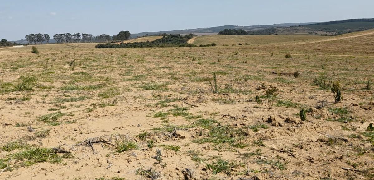 Fazenda, Zona Rural, 0 Quarto, 0 Vaga