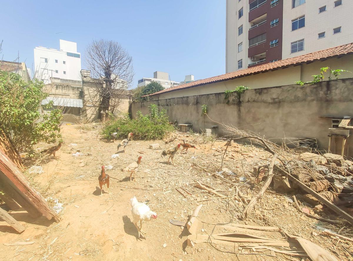 Lote, Jaraguá, 0 Quarto, 0 Vaga