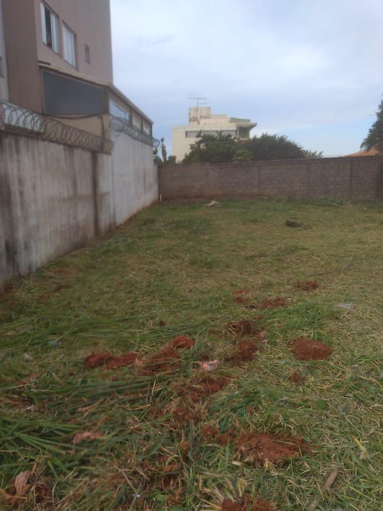 Lote, Fernão Dias, 0 Quarto, 0 Vaga