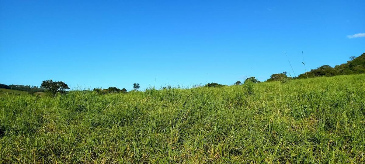 Fazenda, Zona Rural, 3 Quartos, 0 Vaga