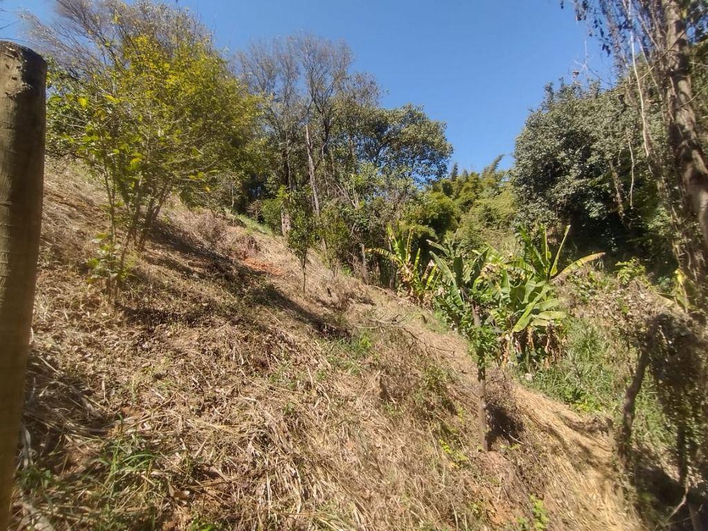 Lote, Esplanada, 0 Quarto, 0 Vaga