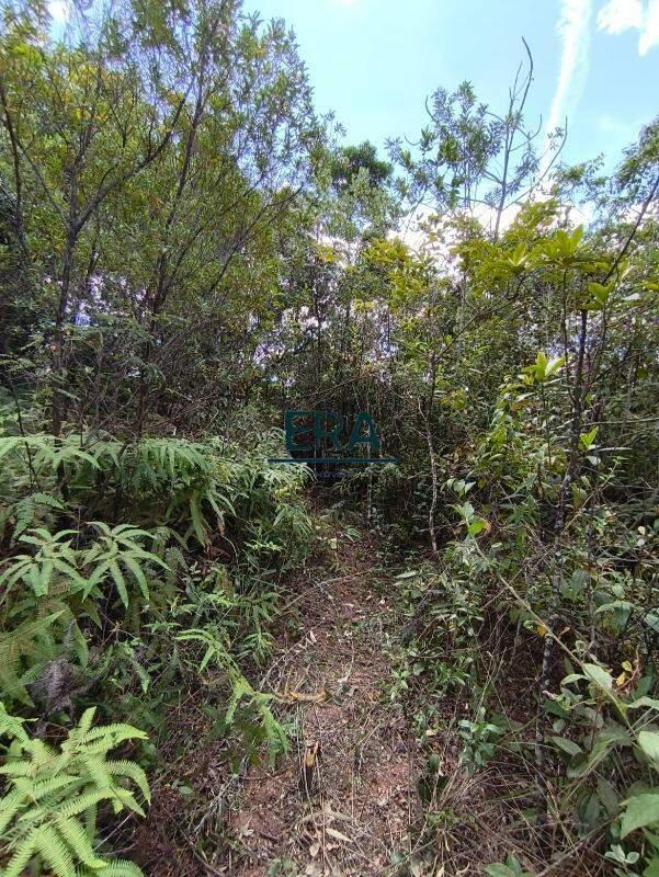 Lote, Parque do Engenho, 0 Quarto, 0 Vaga