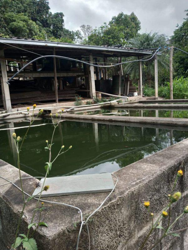 Fazenda, Jardim Rosario, 4 Quartos, 20 Vagas, 1 Suíte