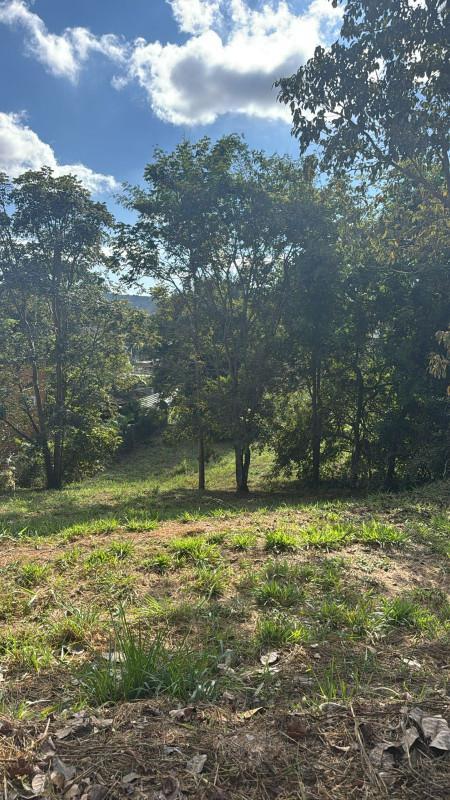 Lote, Condomínio Gran Royalle, 0 Quarto, 0 Vaga