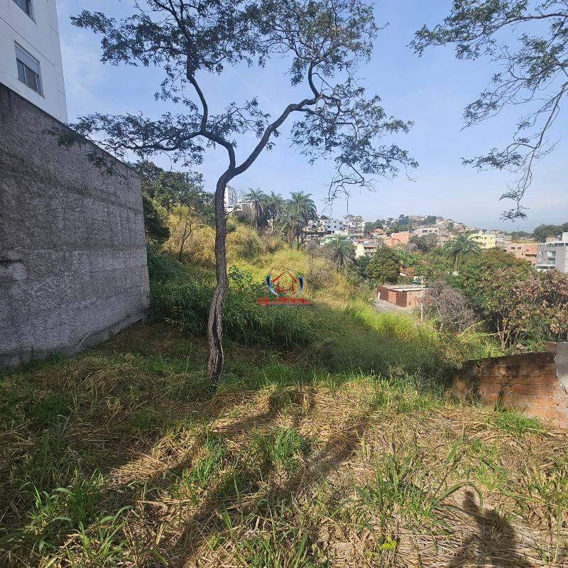 Lote, Ouro Preto