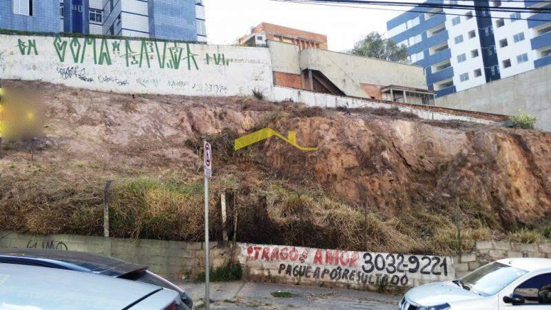 Lote, Buritis