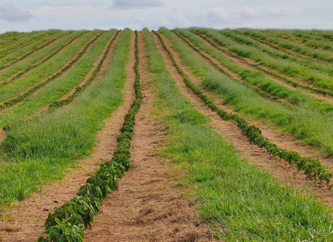 Fazenda, Zona Rural, 0 Quarto, 0 Vaga