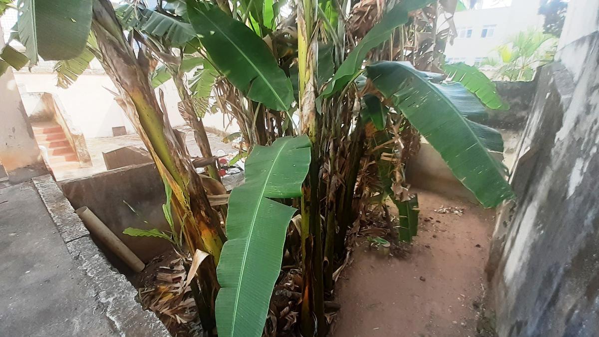 Casa, Nova Suíssa, 3 Quartos, 15 Vagas, 1 Suíte