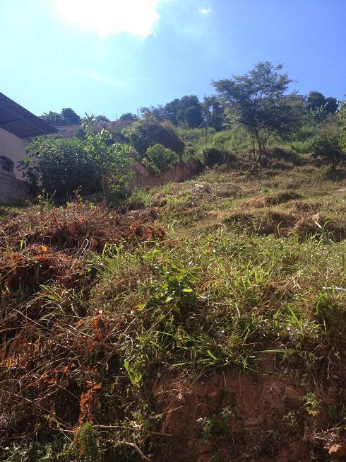 Lote, Santana, 0 Quarto, 0 Vaga
